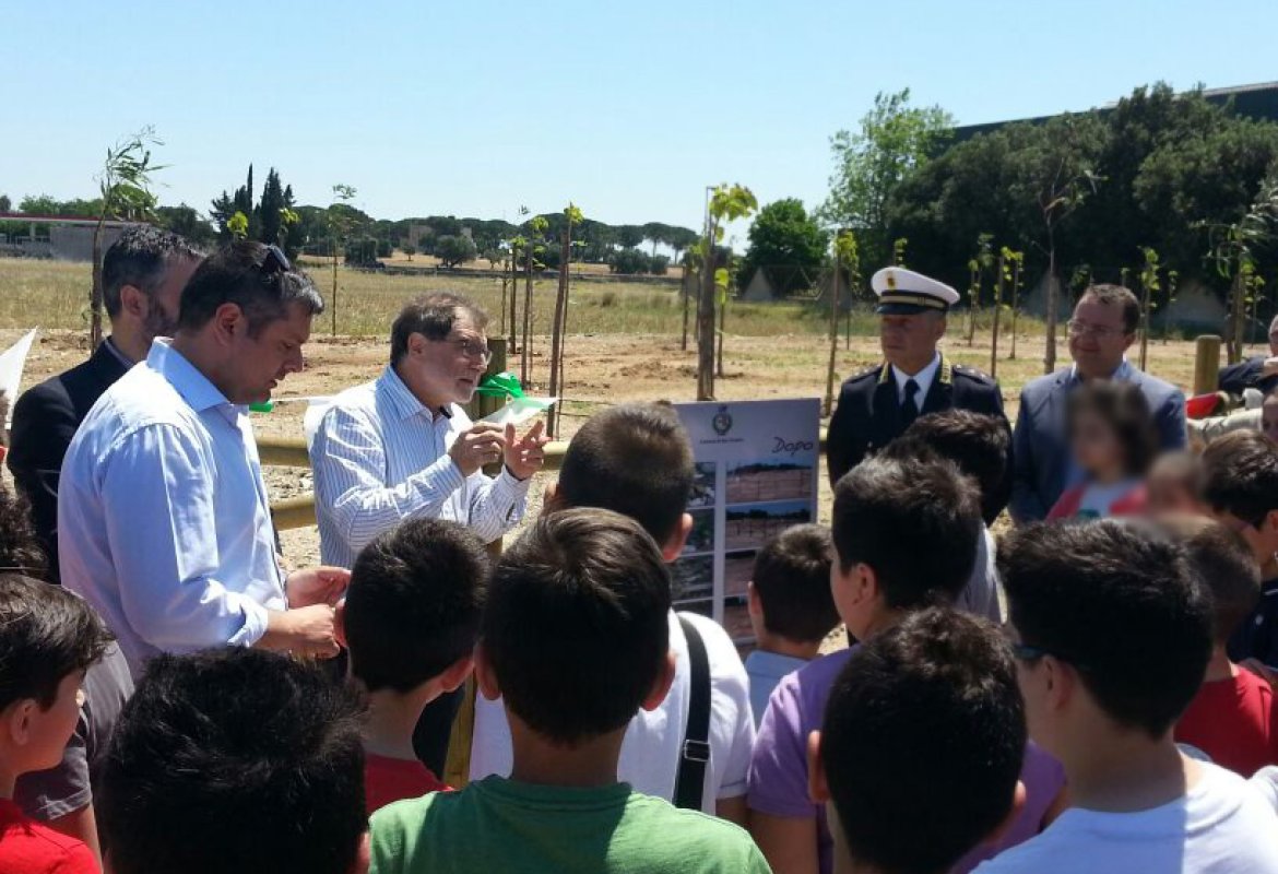 Cento alberi dove c'era una discarica di amianto