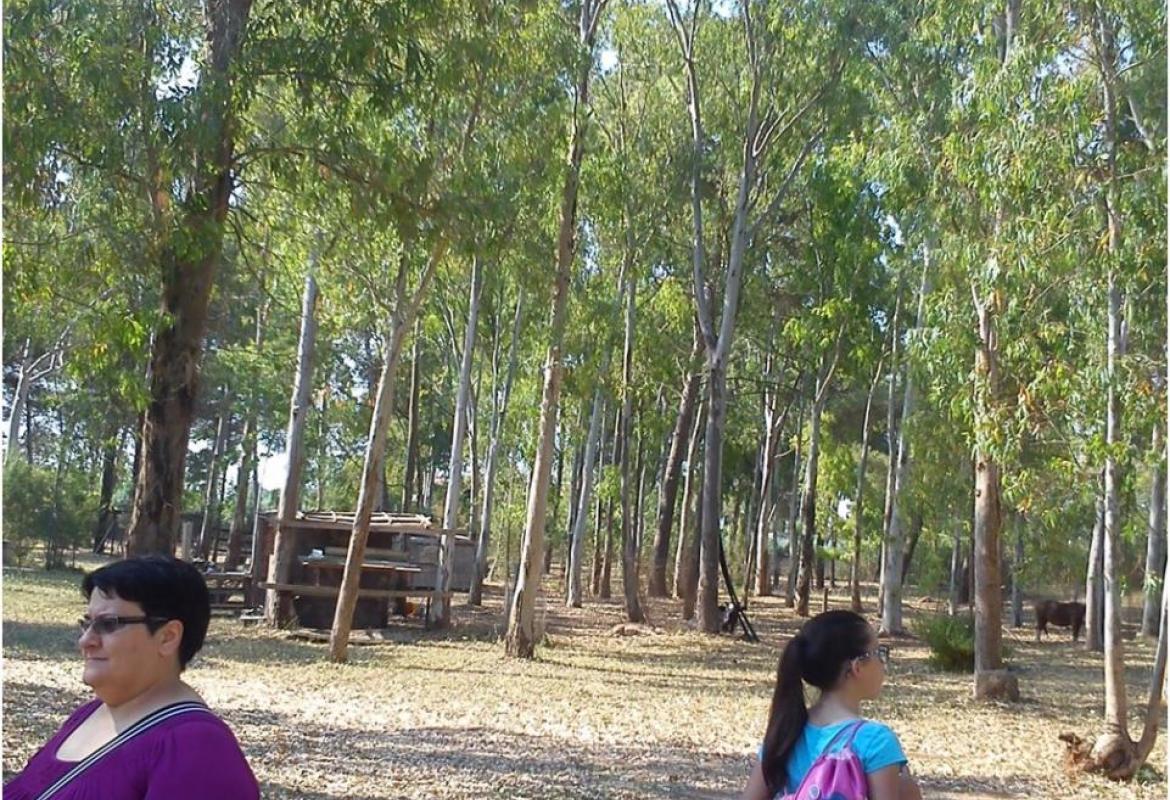 L'Ape maya 'vola' sul canale dell'Asso, una nuova esperienza per i bambini