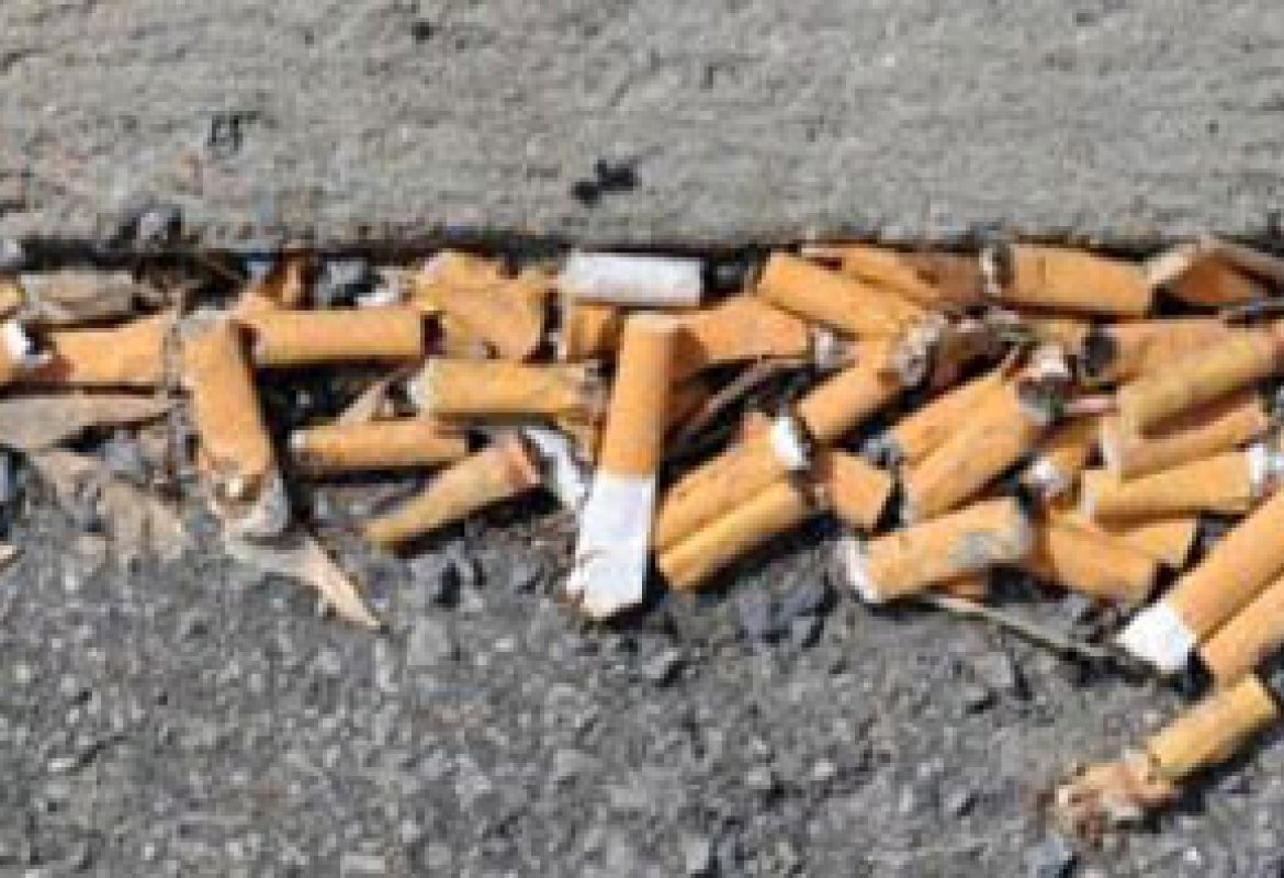 "Deiezioni dei cani e cicche infestano la città"