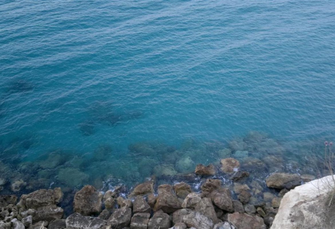 "TAP, un'occasione da non perdere"