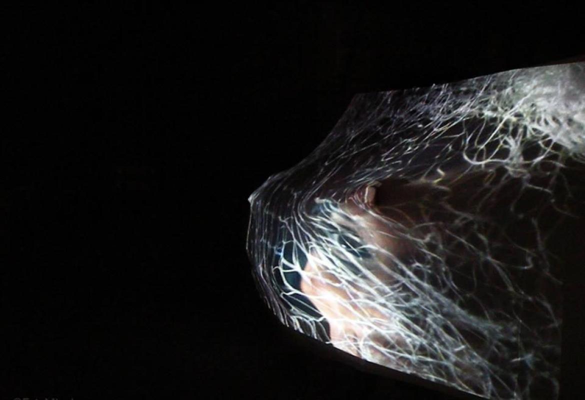 'Luce' a Palazzo Mongiò dell'elefante