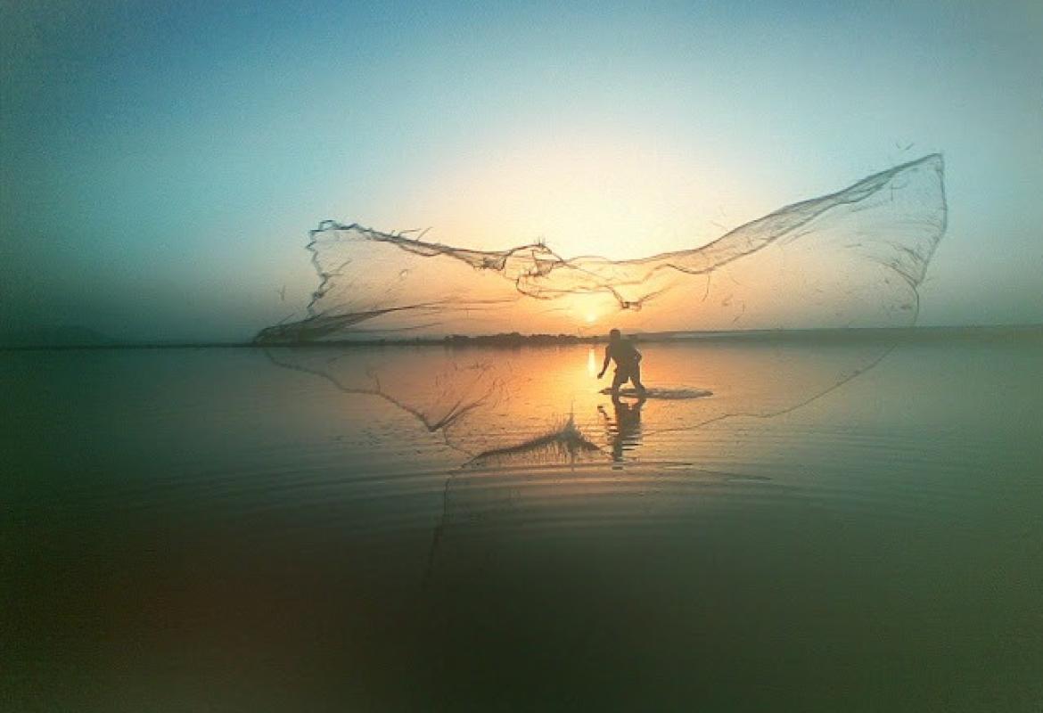 Una rete gettata nel mare