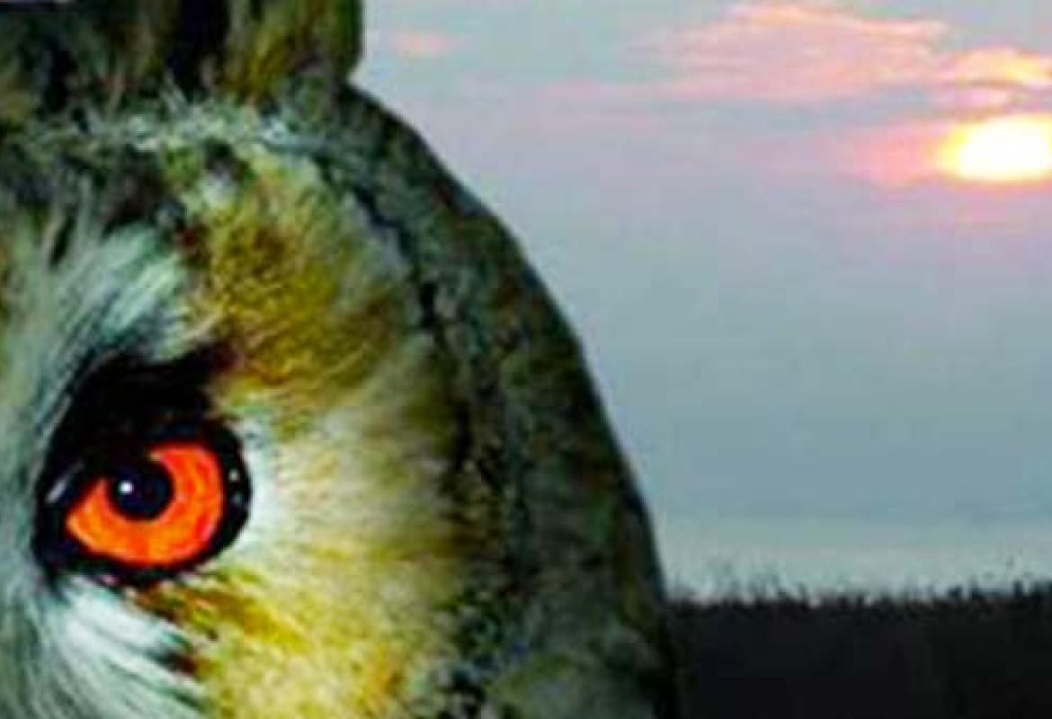 'I signori della notte'