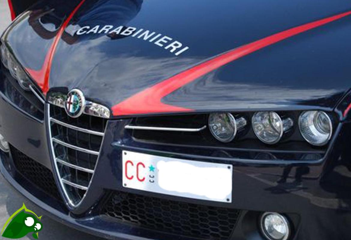 &quot;Occhio, ci sono i Carabinieri!&quot;