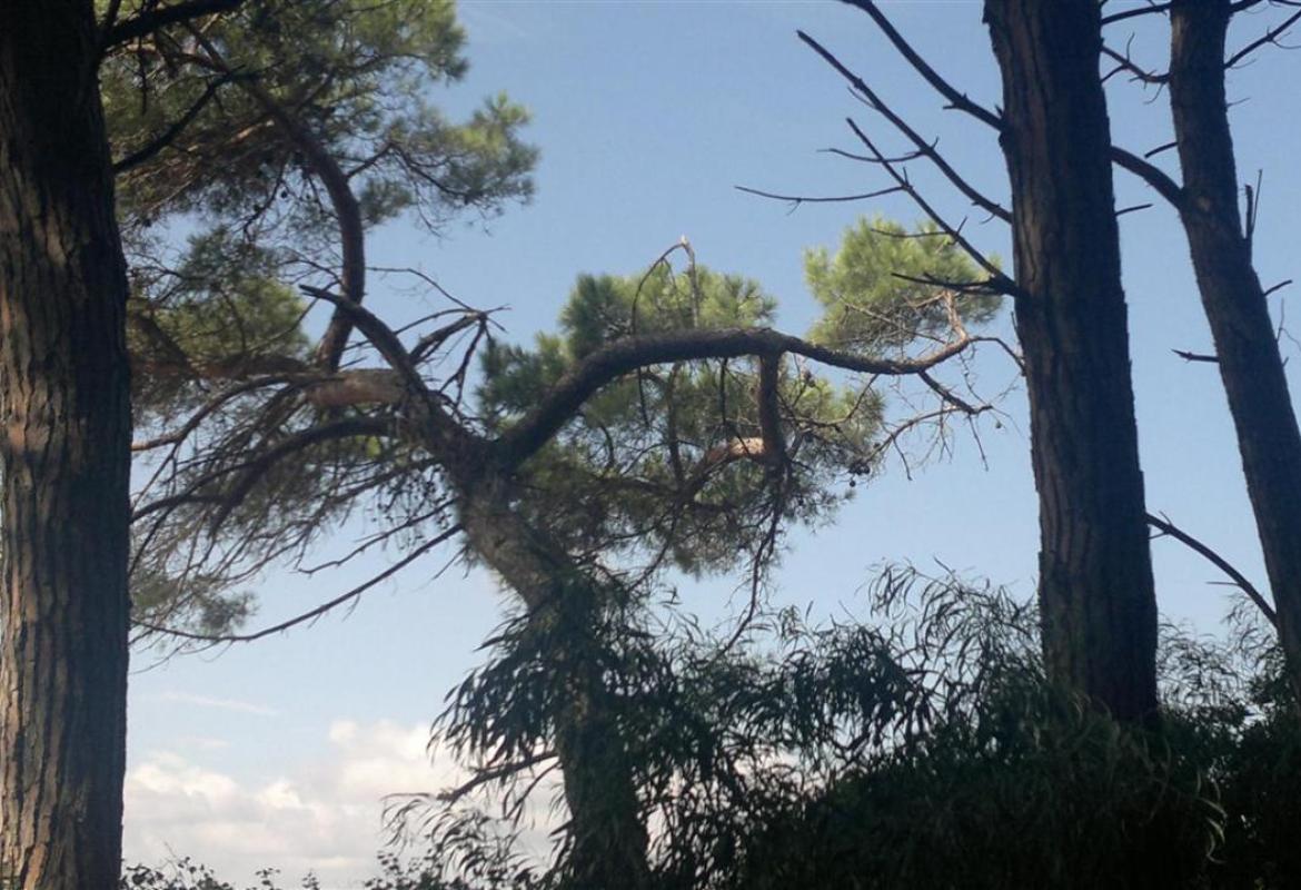 Il Club Alpino Italiano ad Andrano per insegnare a rilevare i sentieri del parco Otranto Tricase Santa Maria di Leuca