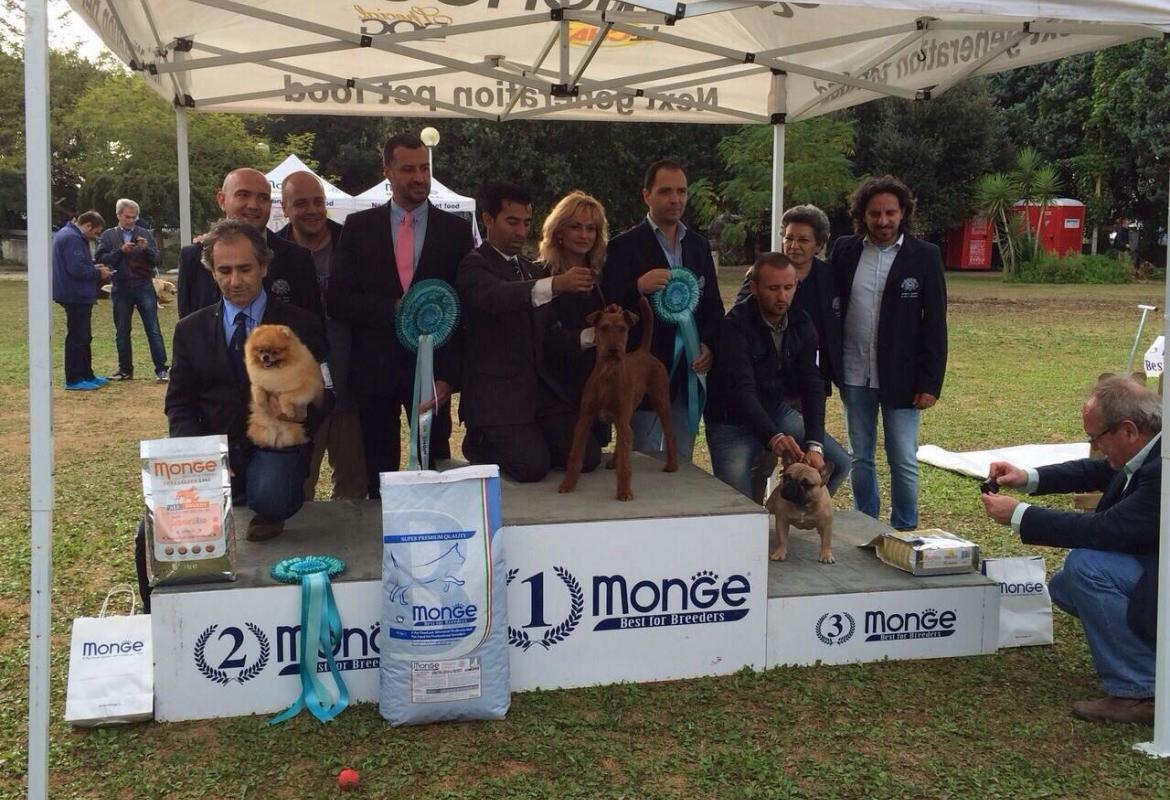 I cinofili salentini si fanno onore all'Hermitage