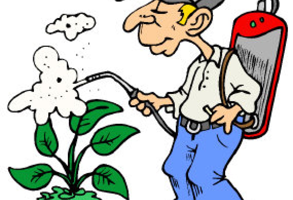 Al via un corso per la vendita di prodotti fitosanitari