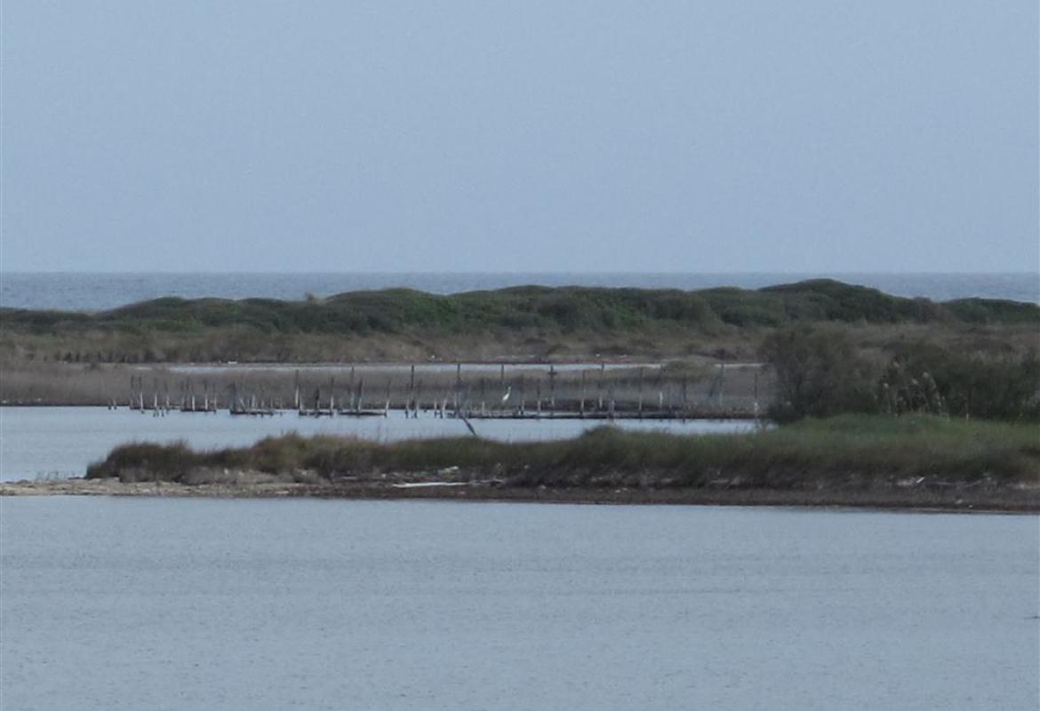 La geotermia alle Cesine