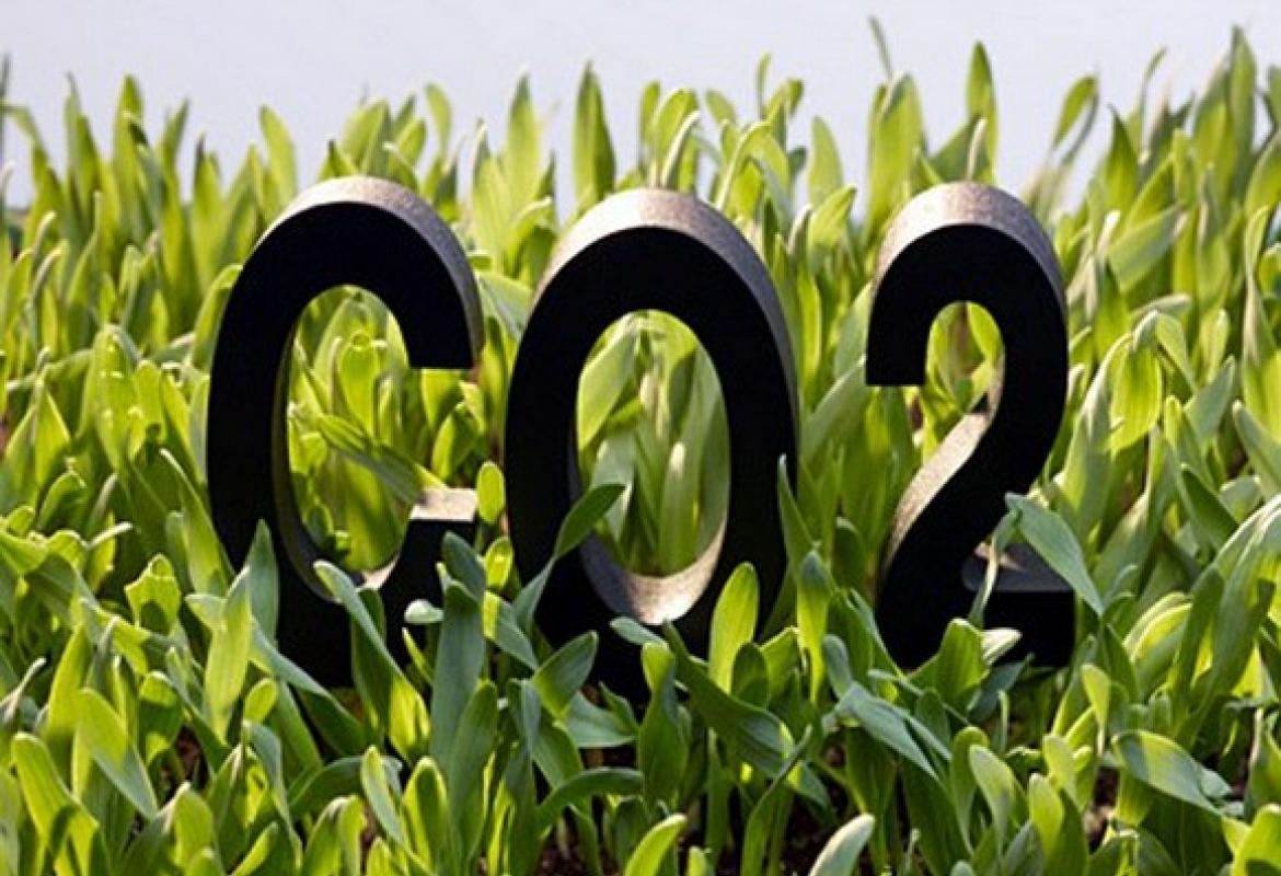 Il carbonio che respiriamo