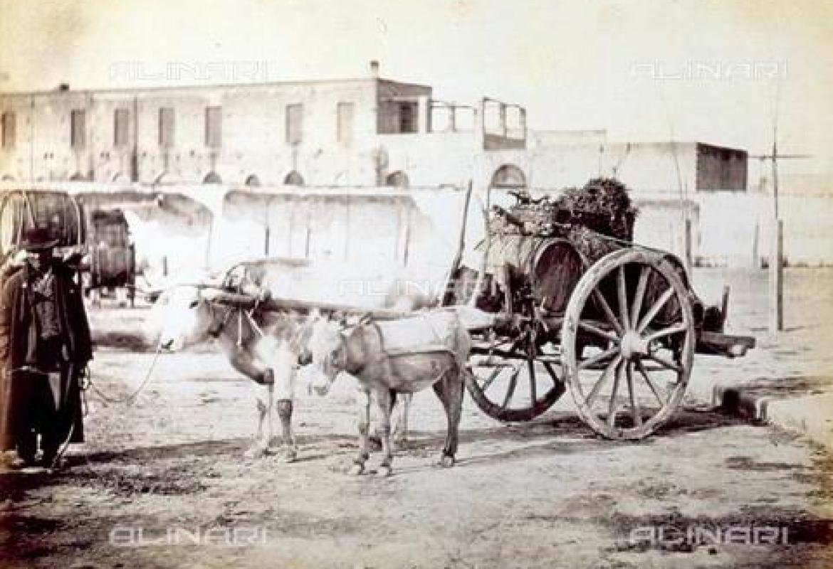 La grande sete di Galatina nel 1927