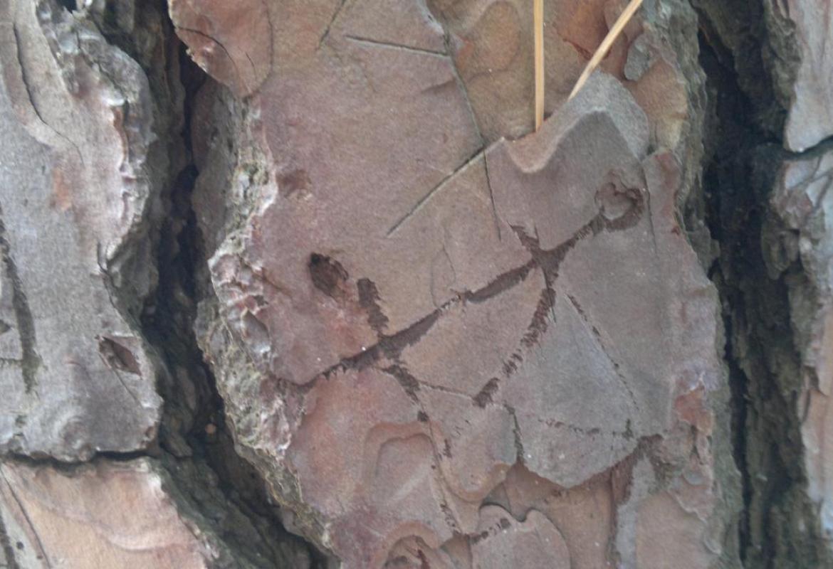 “Schiavo” di una pastiglia