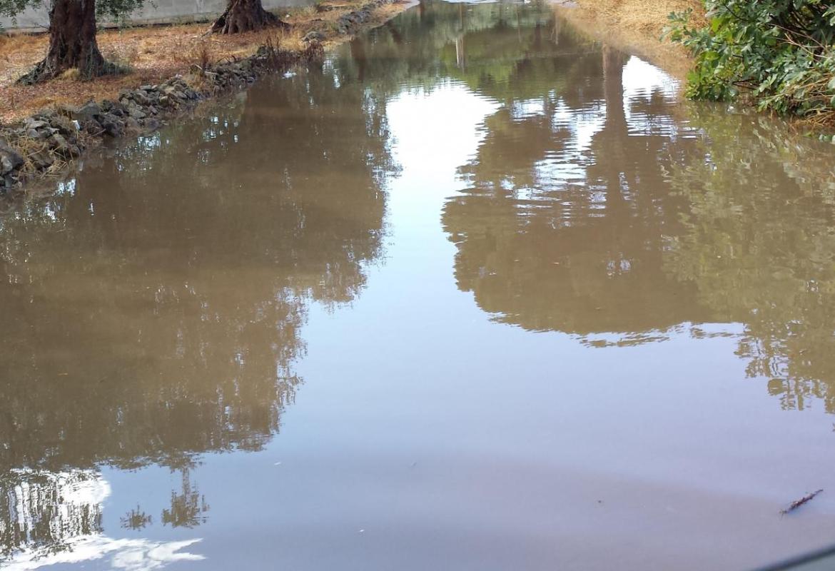 Alberi caduti ed allagamenti ma Galatina esce quasi indenne dal nubifragio
