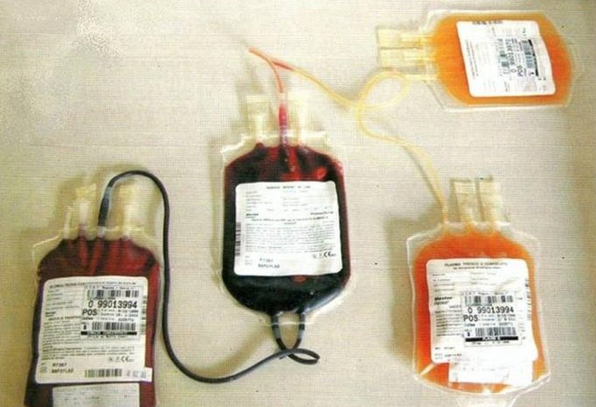 Sacche e trasfusioni validate nell'Asl di Lecce