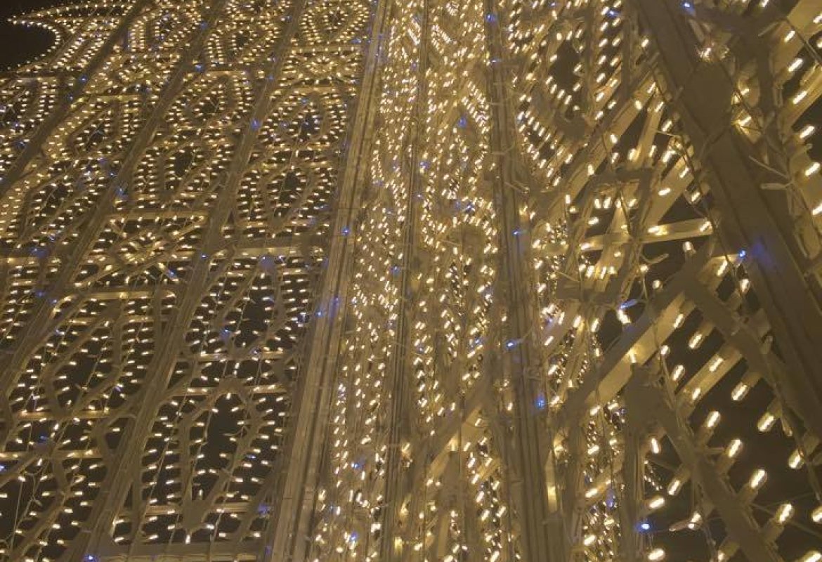 14.133 led per un albero di 21 metri