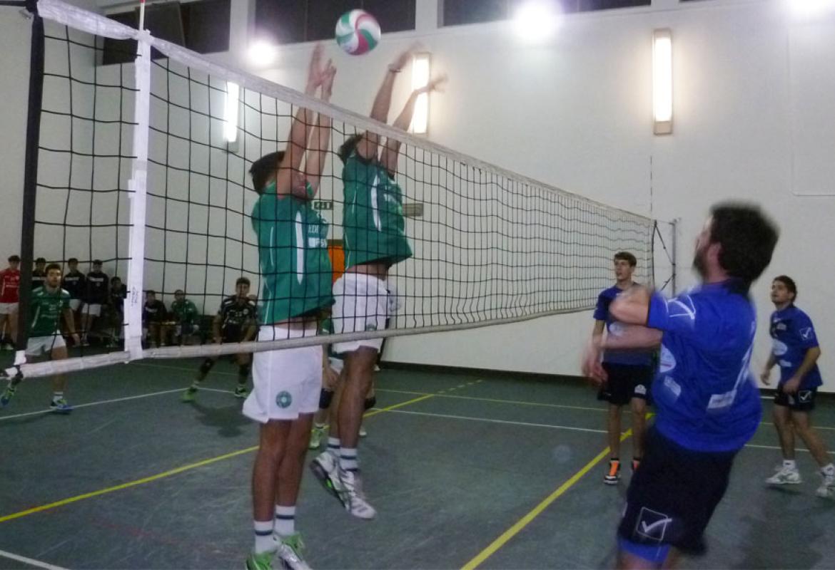 Sesta vittoria per la Showy in prima divisione