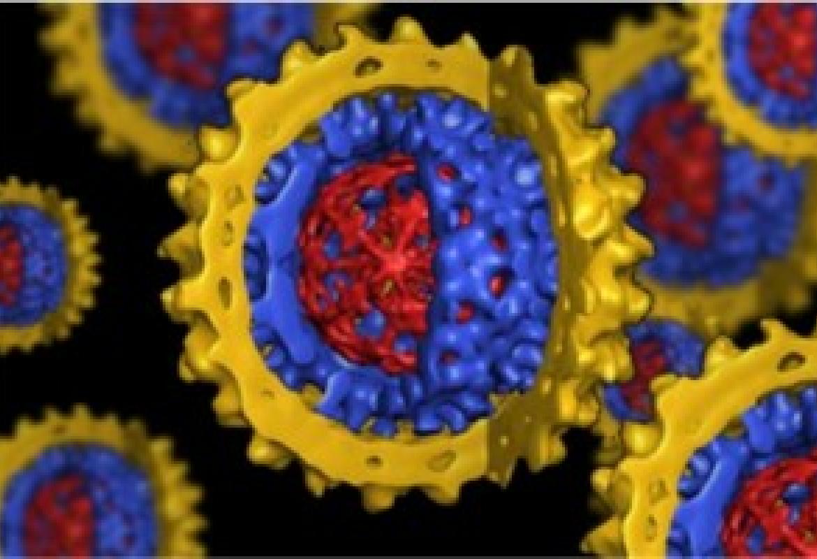 Nanoparticelle d’oro identificano e uccidono le cellule tumorali 