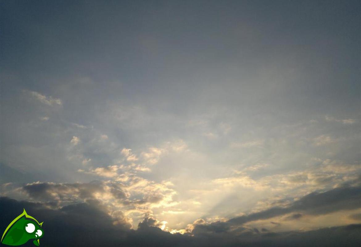 Dio nessuno l'ha mai visto