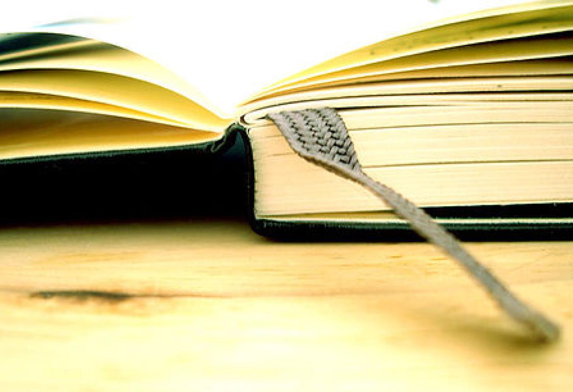 Vuoi imparare a scrivere un diario? 