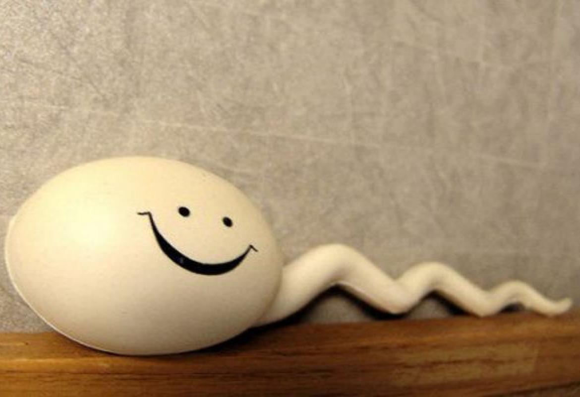 Sotto esame il liquido seminale degli studenti salentini