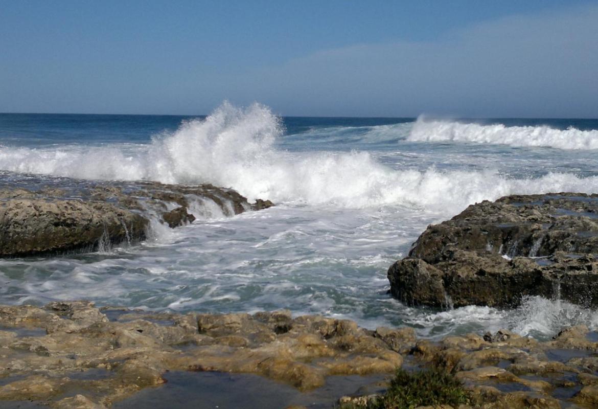 Il profumo del traguardo