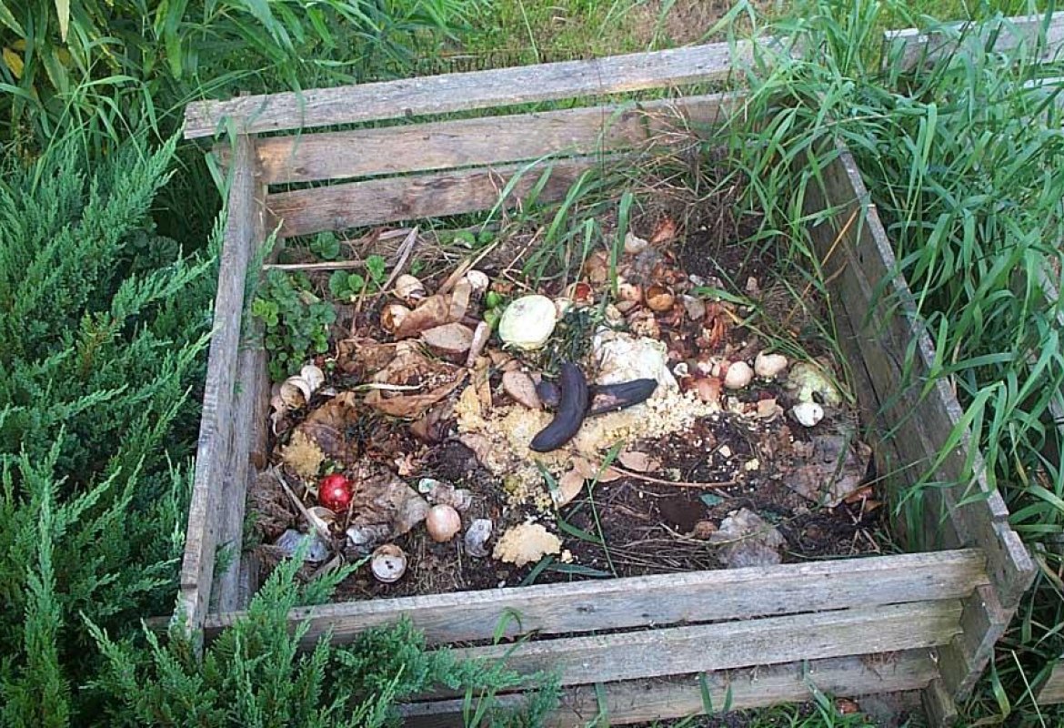 Compostaggio domestico, riaperte le iscrizioni all'albo