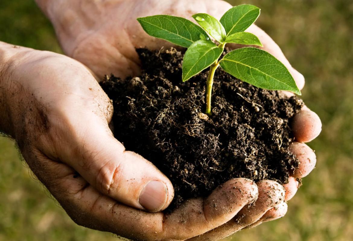 Chi farà i corsi di compostaggio?