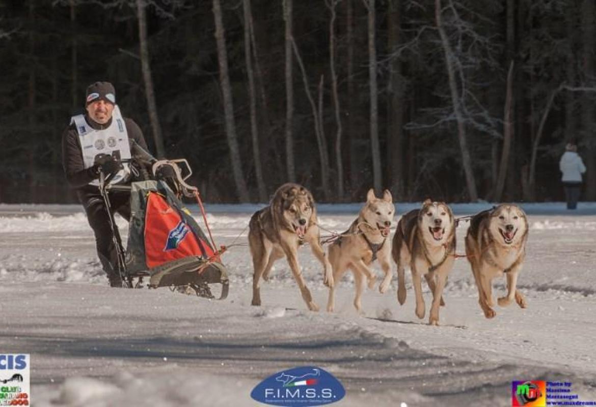 Sleddog, "Un secondo posto al campionato mondiale che ha il sapore della vittoria"