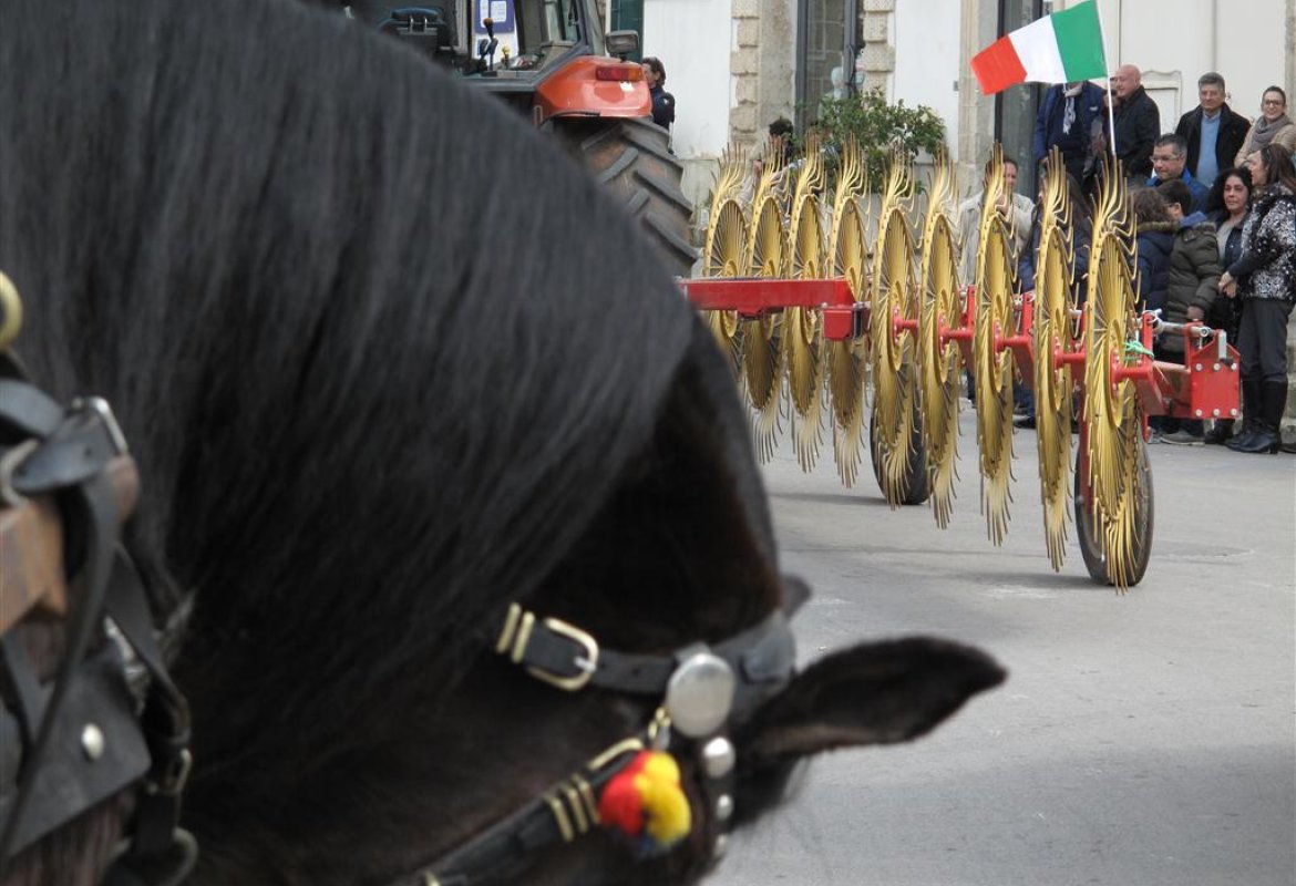 'I bisonti della terra', buona la terza