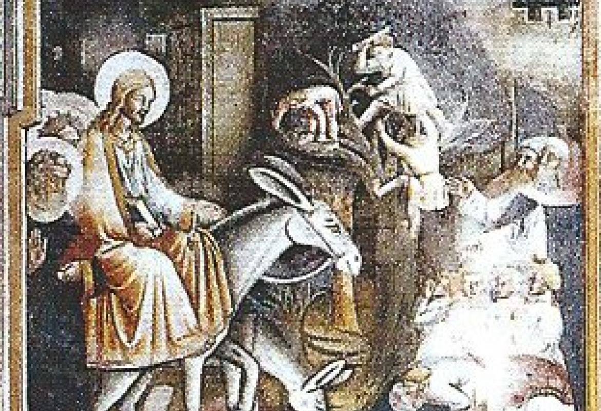 Troverete un puledro legato