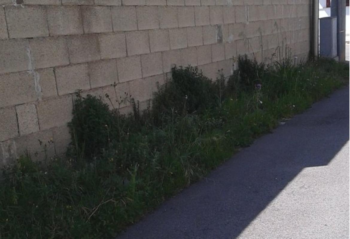 Erbe in via San Giovanni, la pulizia nei prossimi giorni