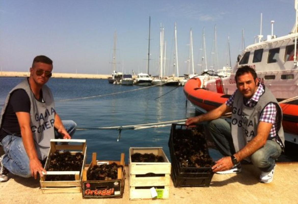 Mille euro di multa per avere raccolto ricci in un'area marina protetta