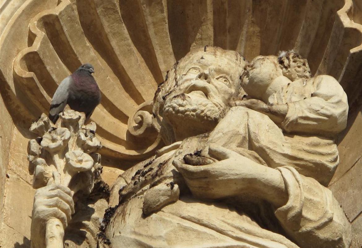 I veleni di via Cavoti