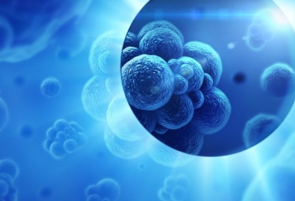 Cinquanta oncologi si confrontano a Lecce