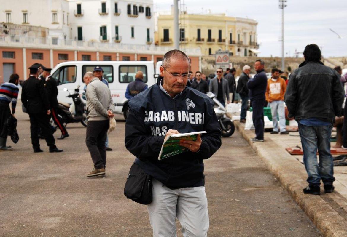 Vendita abusiva di pesce sul porto di Gallipoli, 21 denunciati