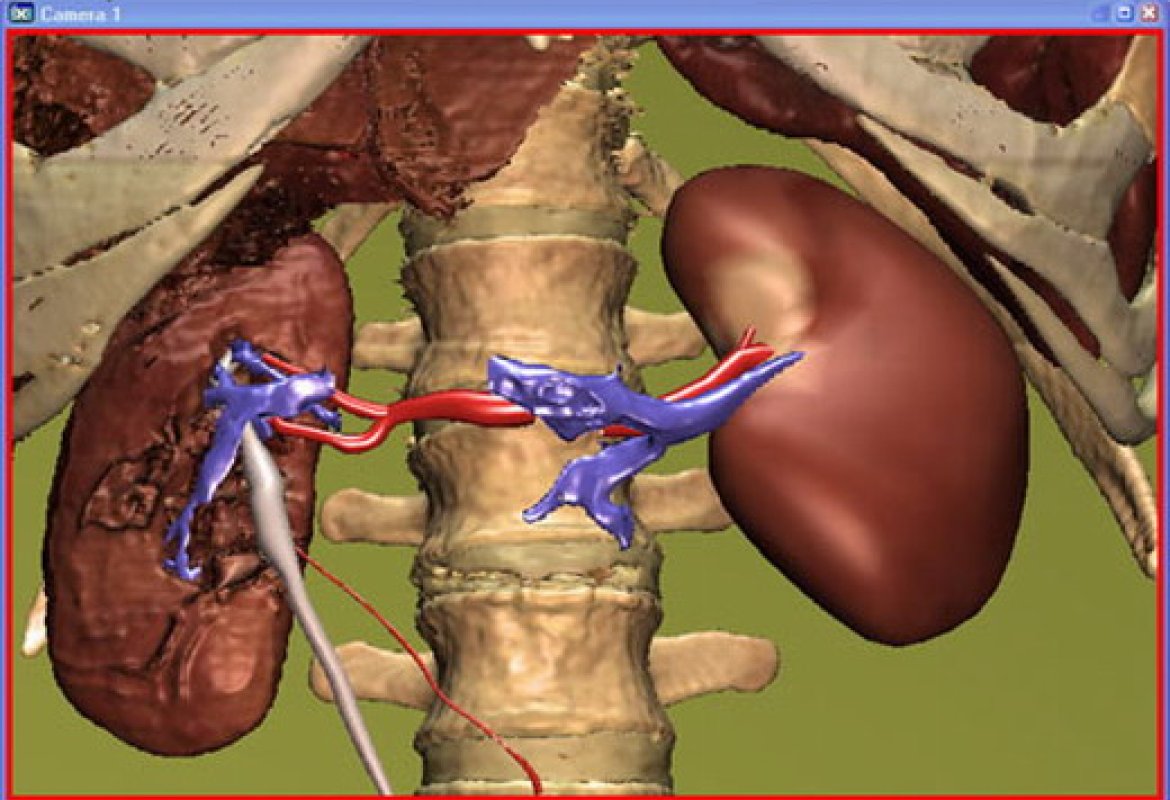 Aumentano i tumori in provincia di Lecce