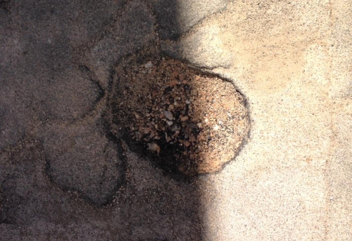 Buche in tutte le strade del Rione Italia