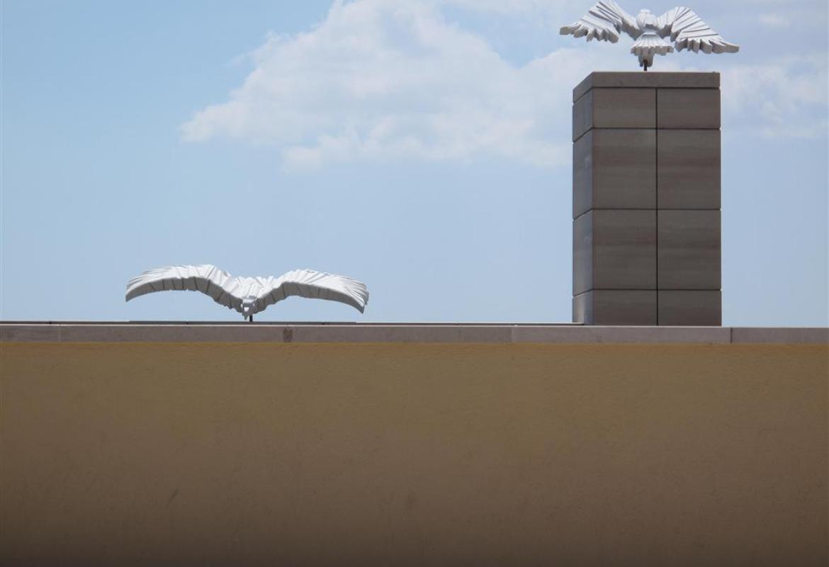 In apparenza corporea, come di colomba