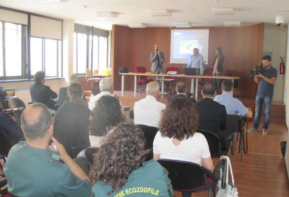 I cani randagi della provincia, un'indagine statistica