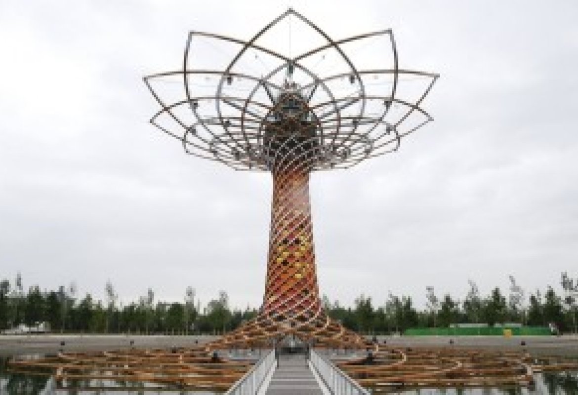 Frodi alimentari impossibili con la ricerca