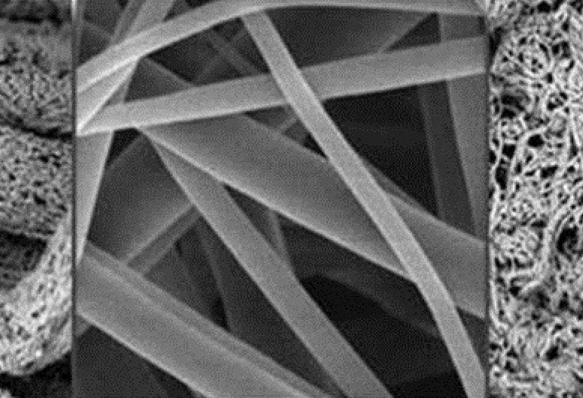 All'Università del Salento 1,5 milioni di euro per studiare le nanofibre