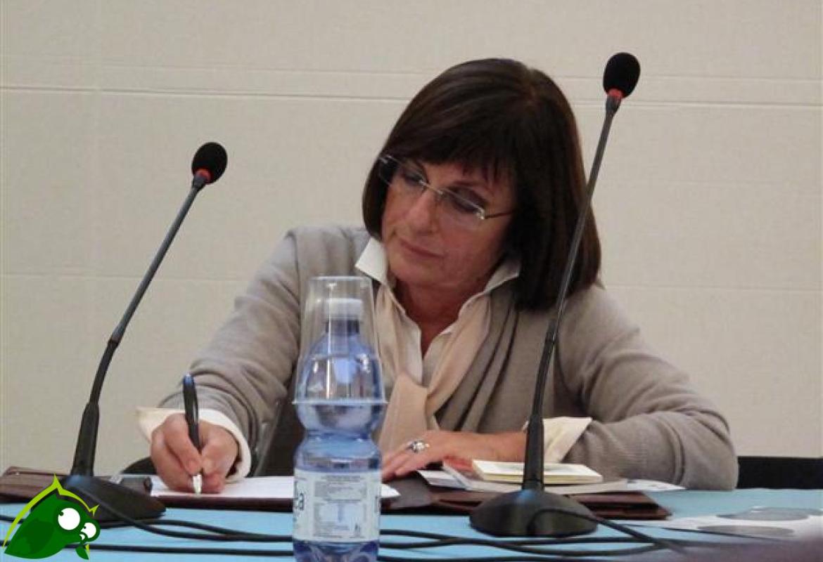 "Nessuna emeroteca è stata distrutta"