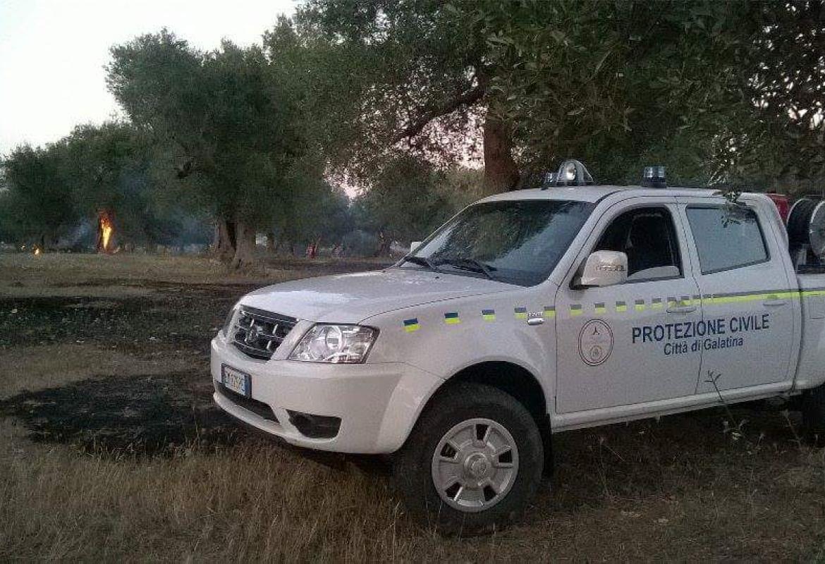 Vasto incendio distrugge un uliveto in Contrada Latronica