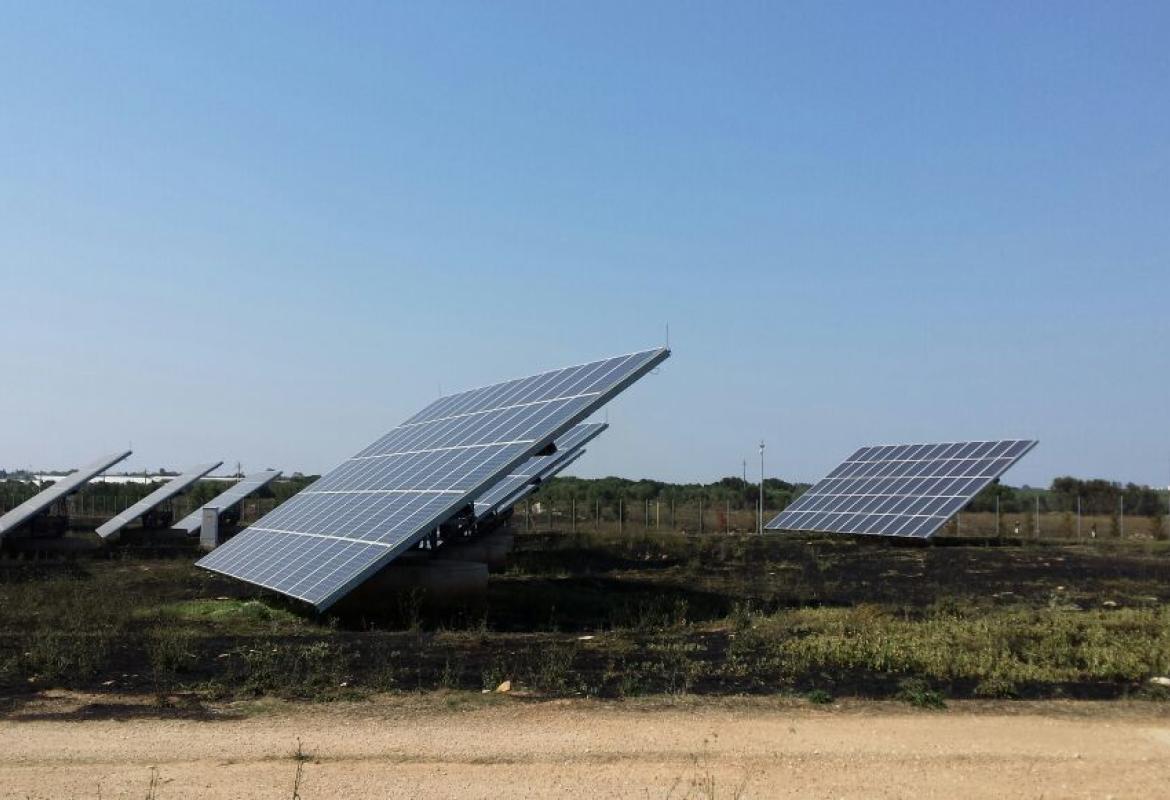 Il fuoco minaccia il campo fotovoltaico sulla Galatina-Lecce