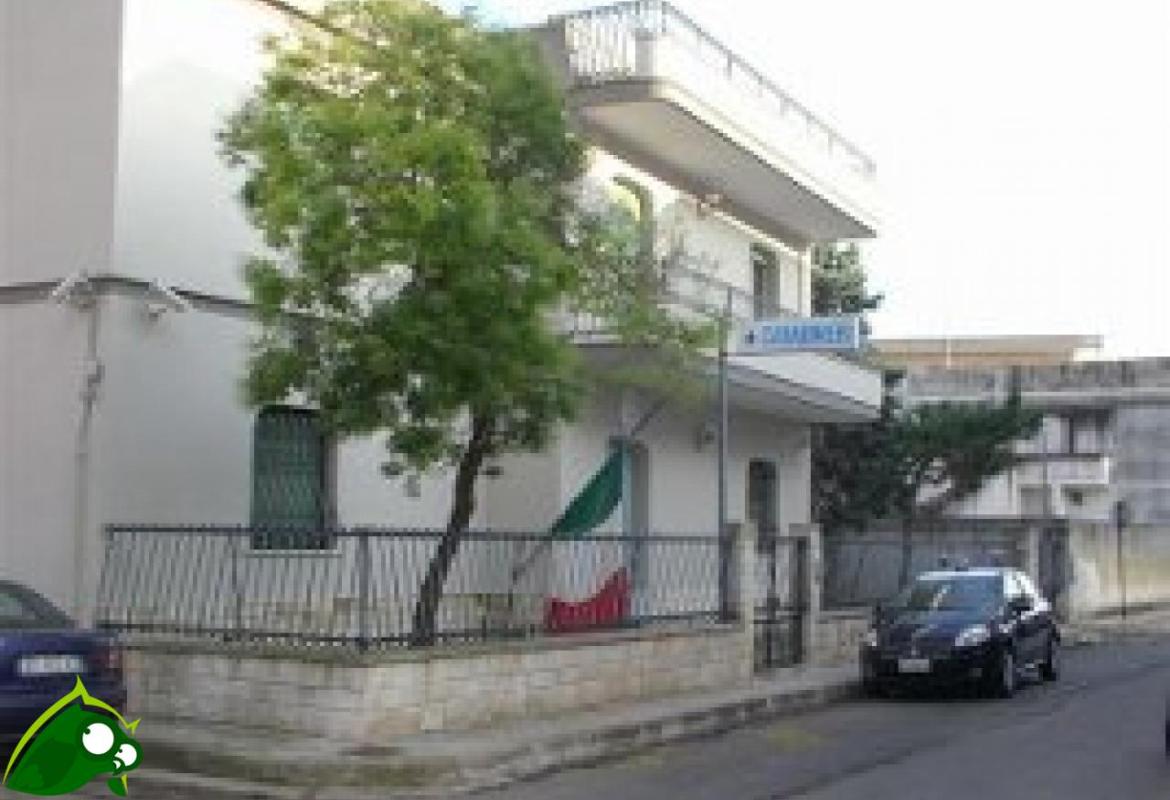 Nessuna bimba è stata importunata, la madre si era inventata tutto