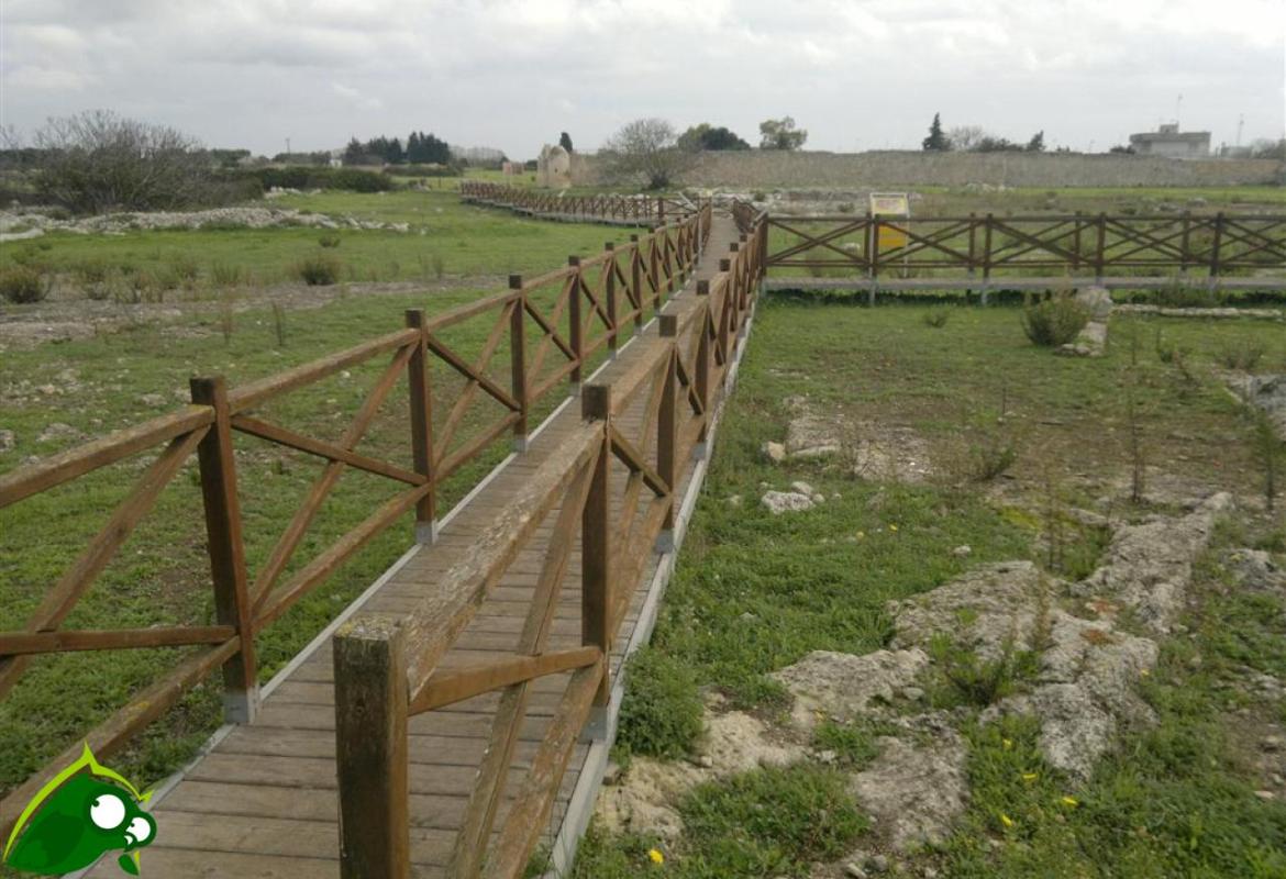 “Archeologia Creativa. Al chiaro di luna nel Museo Diffuso”