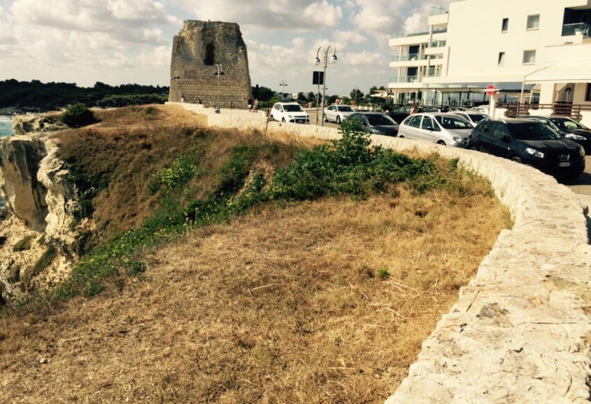 Da Galatina e Bologna per pulire Torre dell'Orso