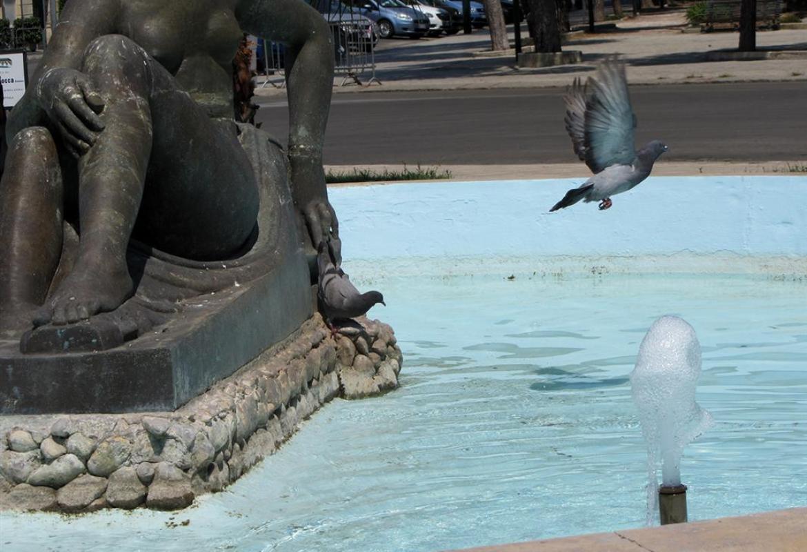 &quot;Sono pronto ad incontrare Franco Mazzotta per parlare della 'Lampada senza luce'&quot;