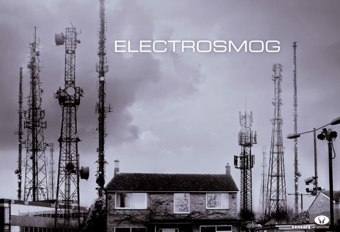 Inquinamento elettromagnetico, la valutazione affidata all'Unisalento