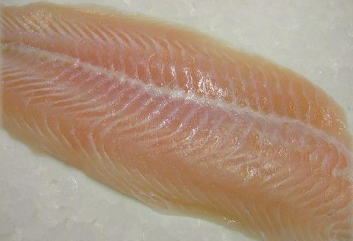 Il filetto di pesce probiotico