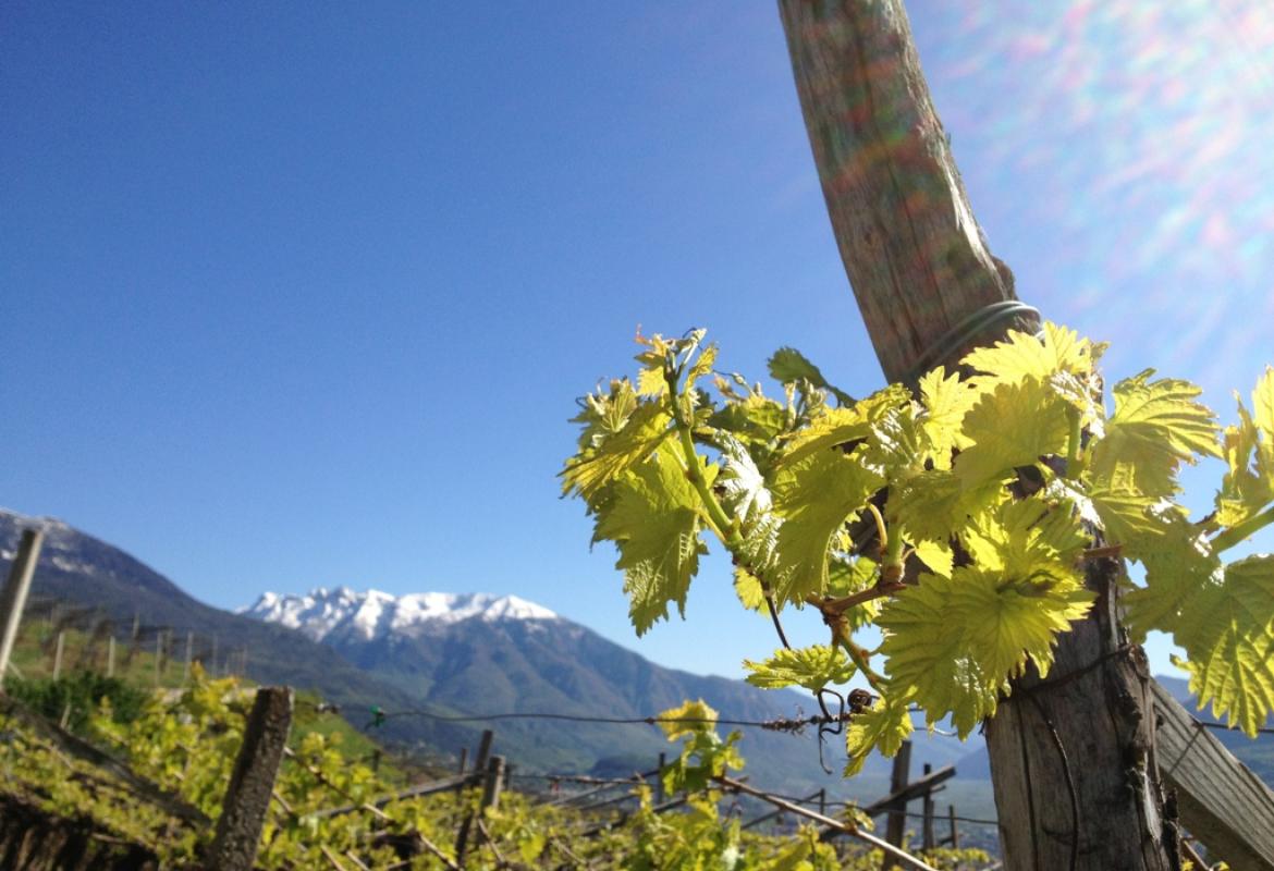 Tutto è possibile presso Dio